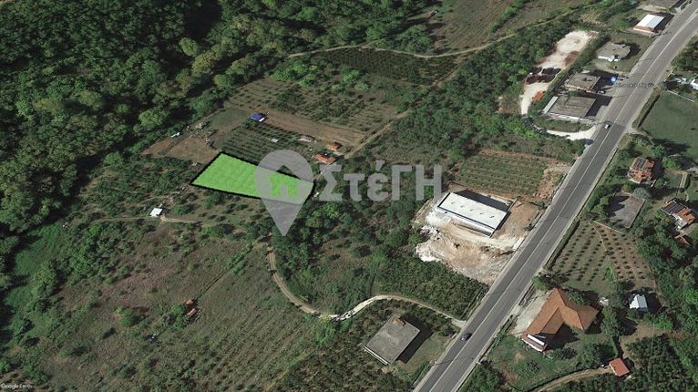 Parcel 2.500 sqm for sale, Imathia, Naousa