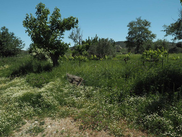 Μονοκατοικία 74 τ.μ. προς πώληση, Νέα Σινασός
