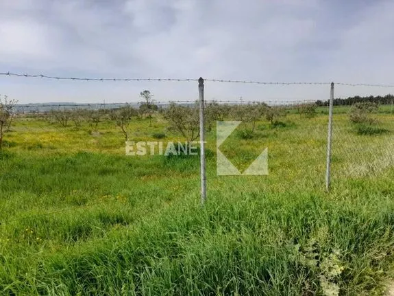 Parcel 10.000 sqm for sale, Chalkidiki, Anthemountas