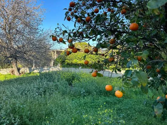 Οικόπεδο 200 τ.μ. για πώληση, Αθήνα - Ανατολικά Προάστια, Αρτέμιδα (λούτσα)