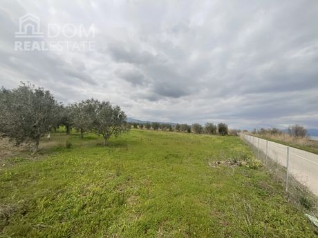 Αγροτεμάχια 4.000τ.μ. για πώληση-Αταλάντη » Σκάλα