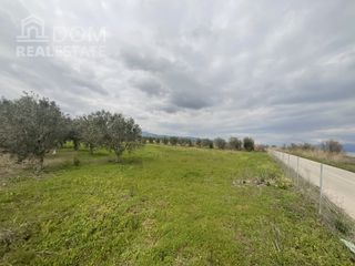 Αγροτεμάχια 4.000 τ.μ. για πώληση