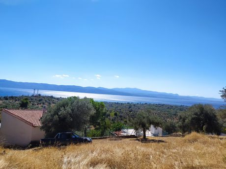 Αγροτεμάχια 1.100τ.μ. για πώληση-Αμάρυνθος » Κουκάκι