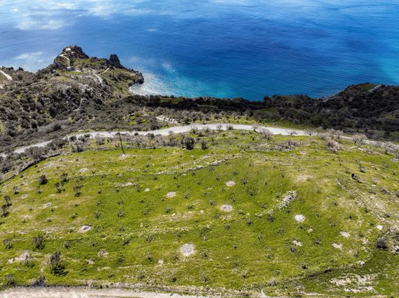 Αγροτεμάχια 16.390 τ.μ. για πώληση, Ν. Ρεθύμνου, Φοινίκας