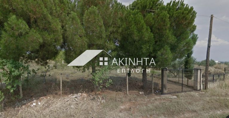 Αγροτεμάχια 1.370 τ.μ. για πώληση, Εβρος, Αλεξανδρούπολη