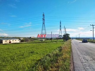 Αγροτεμάχια 19.000 τ.μ. για πώληση