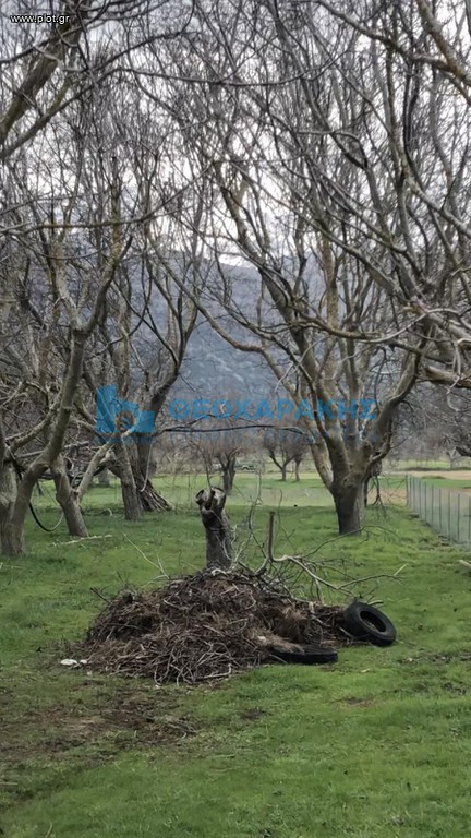 Land plot 879 sqm for sale, Mesa Lasithi
