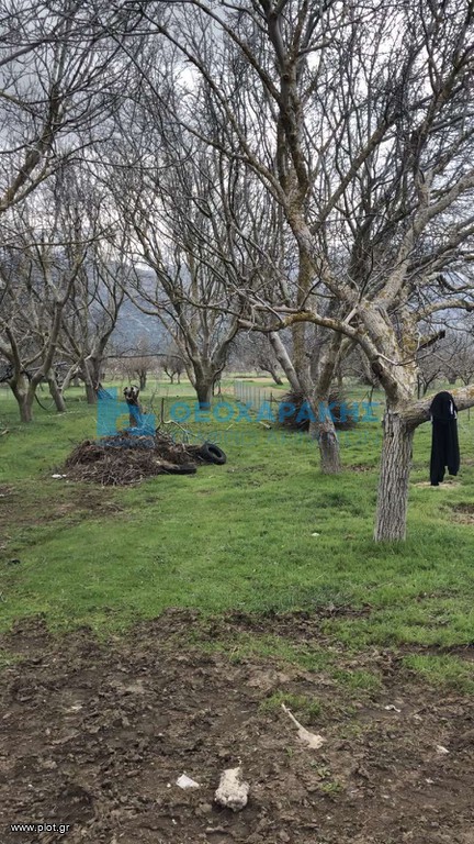 Land plot 879 sqm for sale, Mesa Lasithi