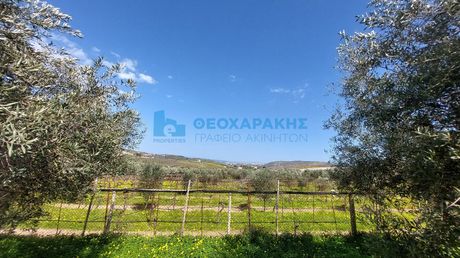 Οικόπεδο 4.203 τ.μ. προς πώληση