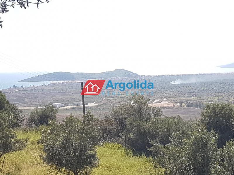 Οικόπεδο 1.605 τ.μ. προς πώληση, Παυλαίικα