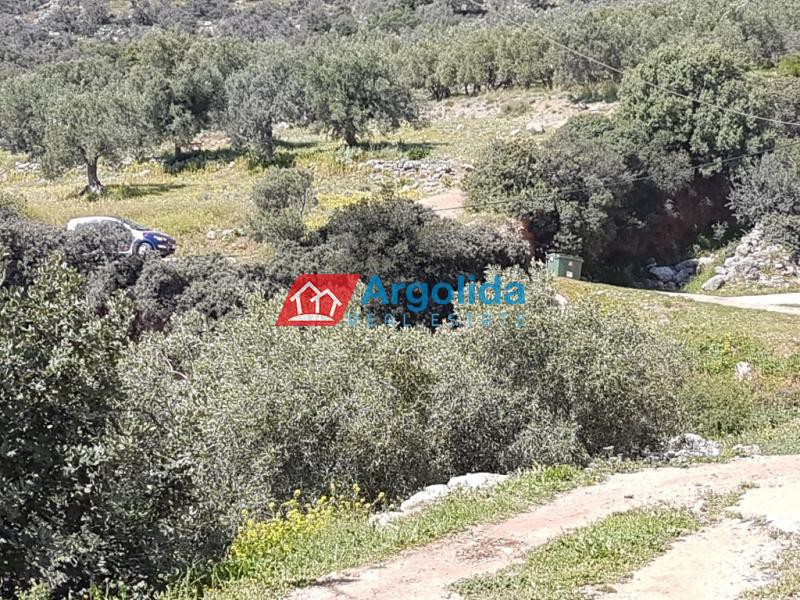 Οικόπεδο 1.605 τ.μ. προς πώληση, Παυλαίικα