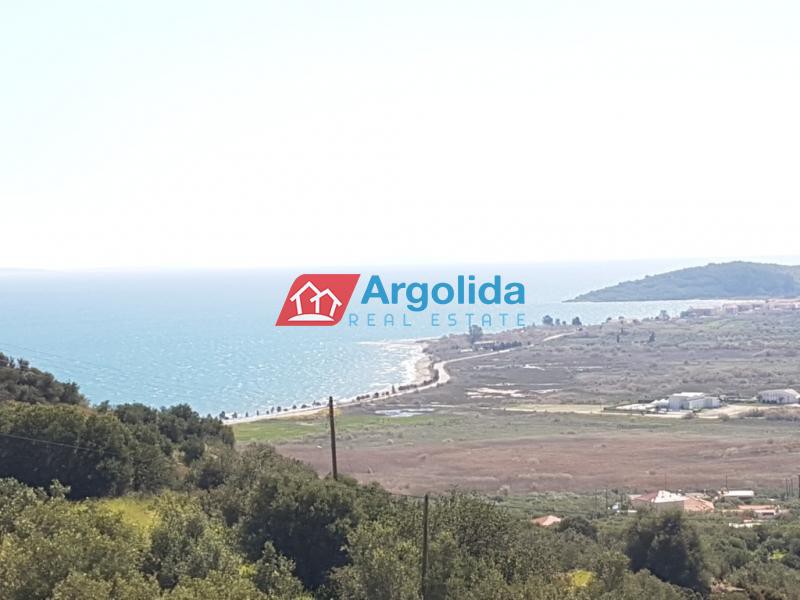 Οικόπεδο 1.605 τ.μ. προς πώληση, Παυλαίικα