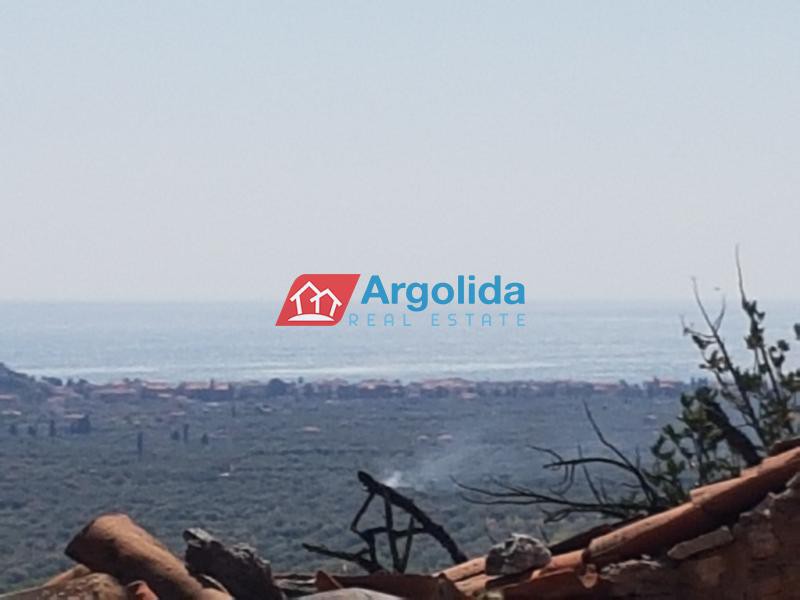 Οικόπεδο 1.605 τ.μ. προς πώληση, Παυλαίικα