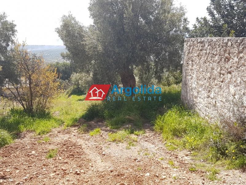 Οικόπεδο 1.605 τ.μ. προς πώληση, Παυλαίικα