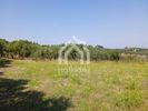 Parcel 5.300sqm for sale-Kassandra » Kassandrino