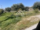 Land plot 610sqm for sale-Sithonia » Parthenonas