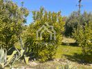 Land plot 1.830sqm for sale-Sithonia » Parthenonas