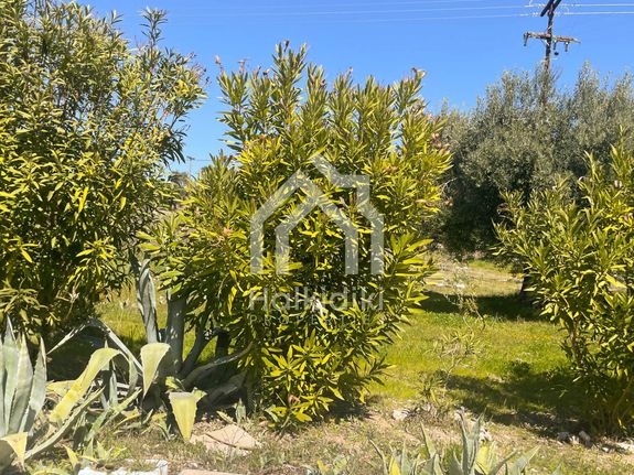 Land plot 1.830 sqm for sale, Chalkidiki, Sithonia