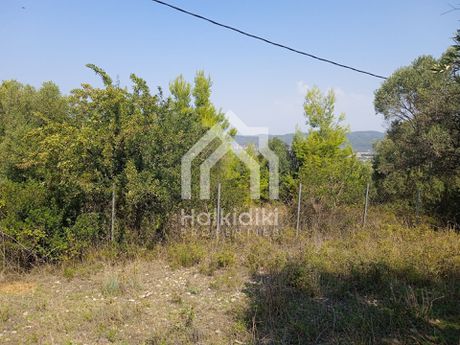 Αγροτεμάχια 2.485τ.μ. για πώληση-Κασσάνδρα » Κασσανδρηνό