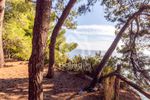 Parcel 15.000sqm for sale-Sithonia » Parthenonas