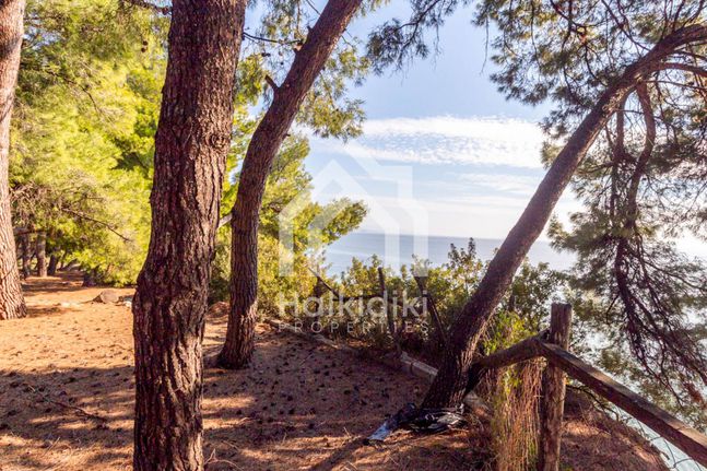 Parcel 15.000 sqm for sale, Chalkidiki, Sithonia