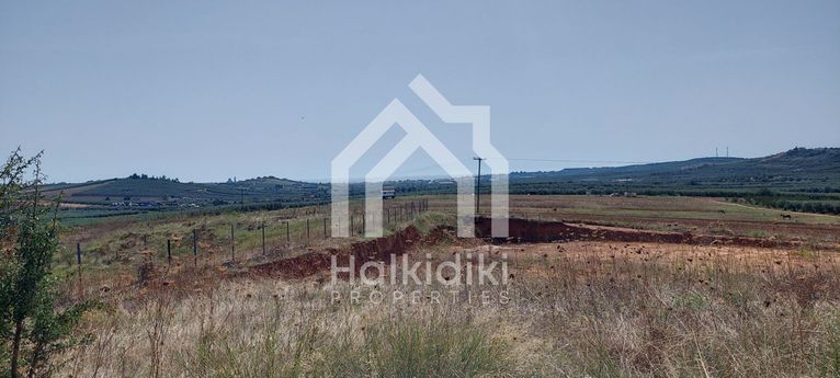 Αγροτεμάχια 15.200 τ.μ. για πώληση, Χαλκιδική, Τριγλία