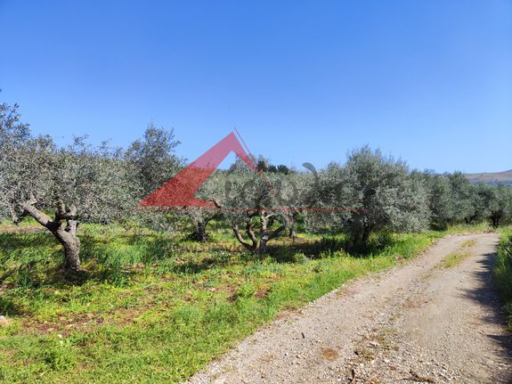 Οικόπεδο 1.490 τ.μ. για πώληση, Ν. Ρεθύμνου, Γεροπόταμος