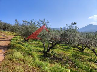 Οικόπεδο 1.490 τ.μ. για πώληση, Ν. Ρεθύμνου, Γεροπόταμος-thumb-2
