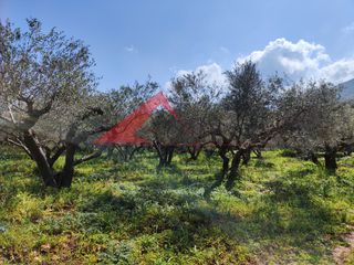 Οικόπεδο 1.490 τ.μ. για πώληση, Ν. Ρεθύμνου, Γεροπόταμος-thumb-4