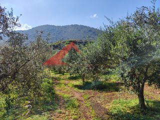 Οικόπεδο 1.490 τ.μ. για πώληση, Ν. Ρεθύμνου, Γεροπόταμος-thumb-5