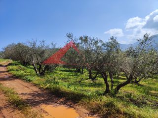 Οικόπεδο 1.490 τ.μ. για πώληση, Ν. Ρεθύμνου, Γεροπόταμος-thumb-7