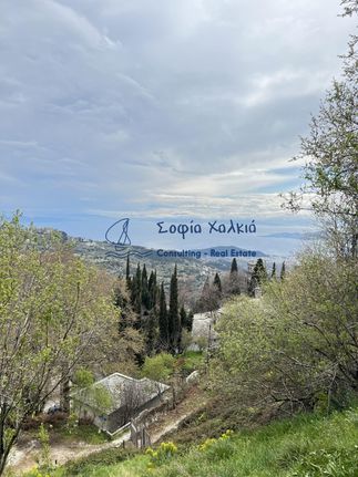 Land plot 1.600 sqm for sale, Magnesia, Makrinitsa