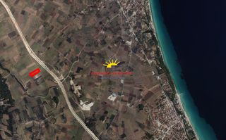 Αγροτεμάχια 10.000 τ.μ. για πώληση