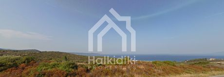 Αγροτεμάχια 8.570τ.μ. για πώληση-Σιθωνία » Παρθενώνας