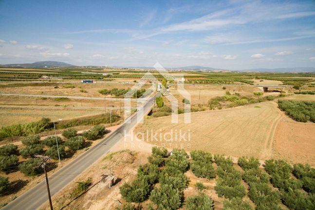 Αγροτεμάχια 3.500 τ.μ. για πώληση, Χαλκιδική, Τριγλία
