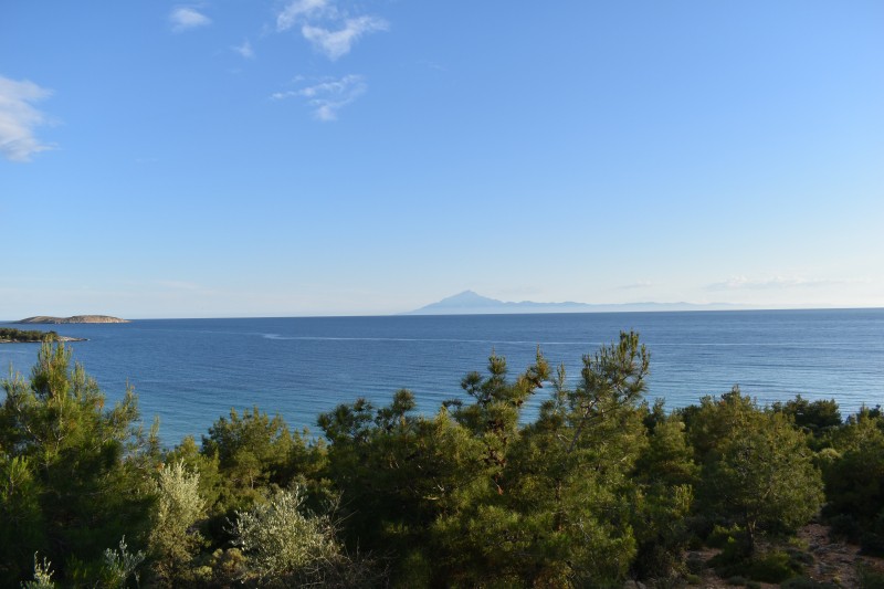 Αγροτεμάχια 5.308 τ.μ. για πώληση, Ν. Καβάλας, Θάσος