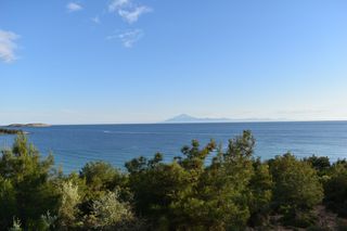 Αγροτεμάχια 5.308 τ.μ. για πώληση