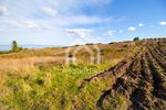 Parcel 4.000sqm for sale-Kassandra » Kassandrino