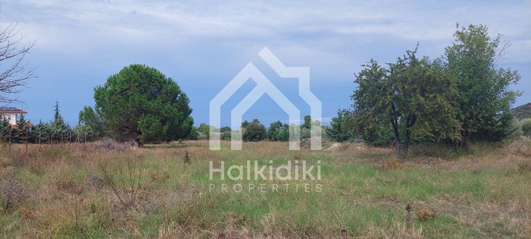 Αγροτεμάχια 4.000 τ.μ. για πώληση, Χαλκιδική, Κασσάνδρα