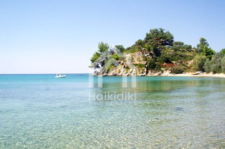 Αγροτεμάχια 10.192τ.μ. για πώληση-Σιθωνία » Παρθενώνας