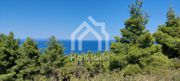 Αγροτεμάχια 6.110τ.μ. για πώληση-Κασσάνδρα » Κασσανδρηνό