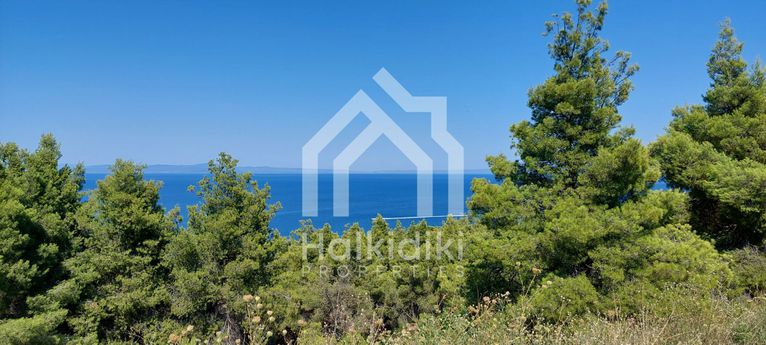 Αγροτεμάχια 6.110 τ.μ. για πώληση, Χαλκιδική, Κασσάνδρα