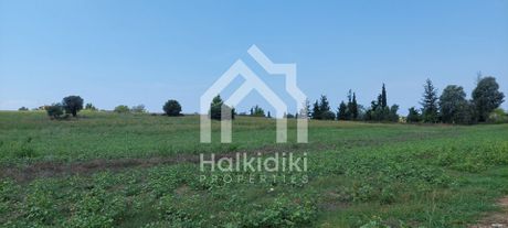 Αγροτεμάχια 5.982τ.μ. για πώληση-Κασσάνδρα » Κασσανδρηνό