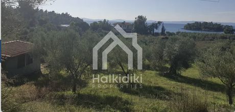 Αγροτεμάχια 4.692τ.μ. για πώληση-Σιθωνία » Παρθενώνας