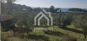 Parcel 4.692sqm for sale-Sithonia » Parthenonas