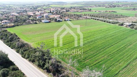 Αγροτεμάχια 7.643 τ.μ. για πώληση