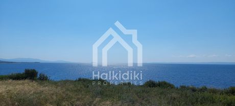 Αγροτεμάχια 4.913τ.μ. για πώληση-Σιθωνία » Παρθενώνας