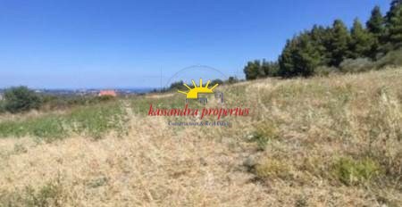 Αγροτεμάχια 4.572 τ.μ. πρός πώληση, Χαλκιδική, Κασσάνδρα