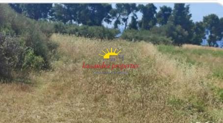 Αγροτεμάχια 4.572 τ.μ. πρός πώληση, Χαλκιδική, Κασσάνδρα