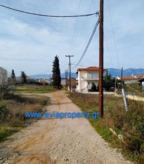 Οικόπεδο 420 τ.μ. για πώληση, Εύβοια, Αρτεμίσιο-thumb-1